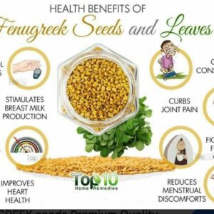 Fenugreek