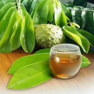 Soursop Fruit (Seasonal)