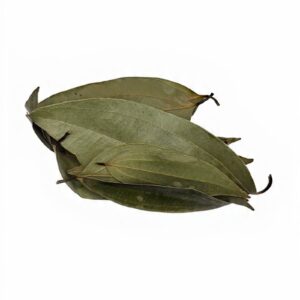 Neem Leaf